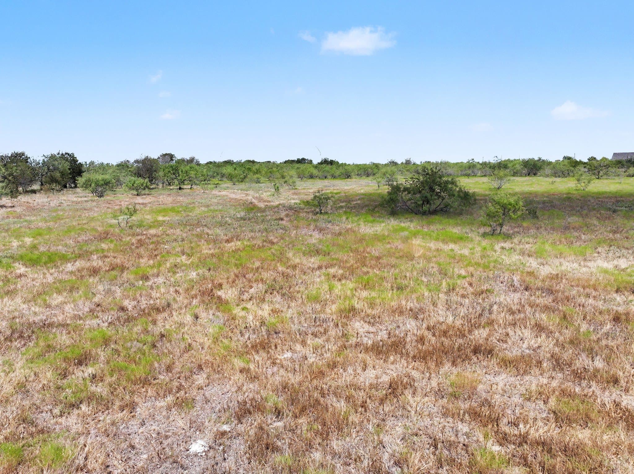194 LCR 614, Groesbeck, TX 76642 — photo 12