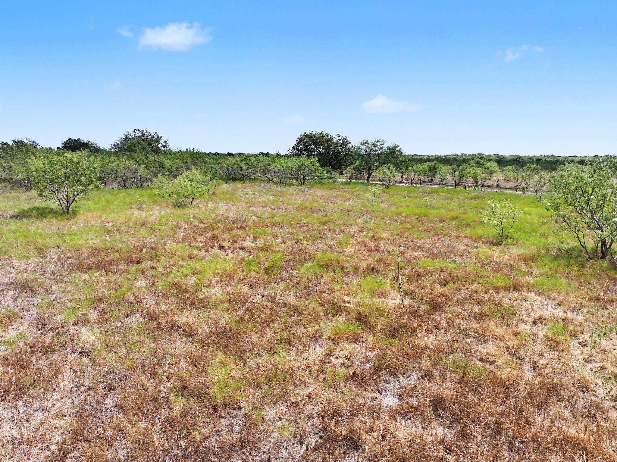 194 LCR 614, Groesbeck, TX 76642 — photo 14