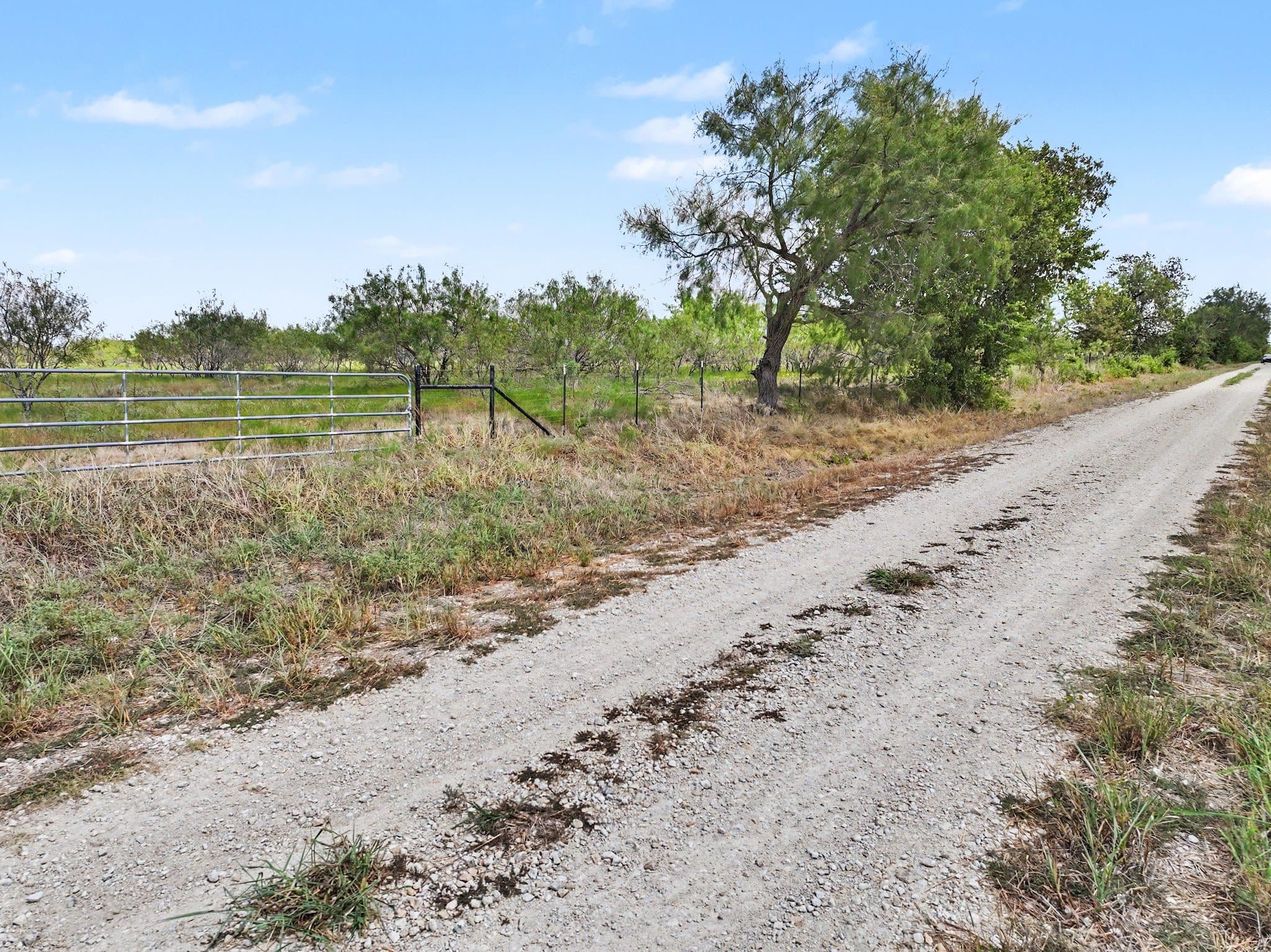 194 LCR 614, Groesbeck, TX 76642 — photo 16