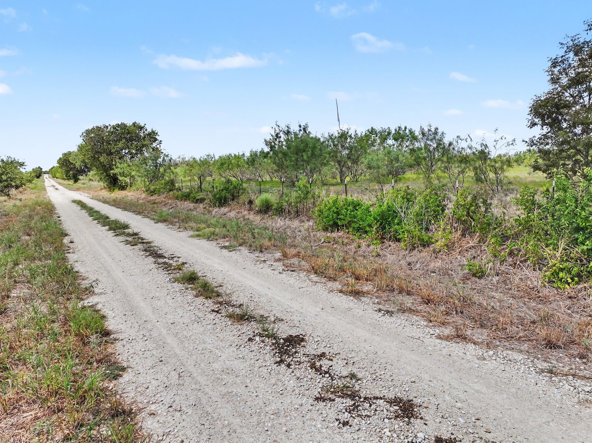194 LCR 614, Groesbeck, TX 76642 — photo 18