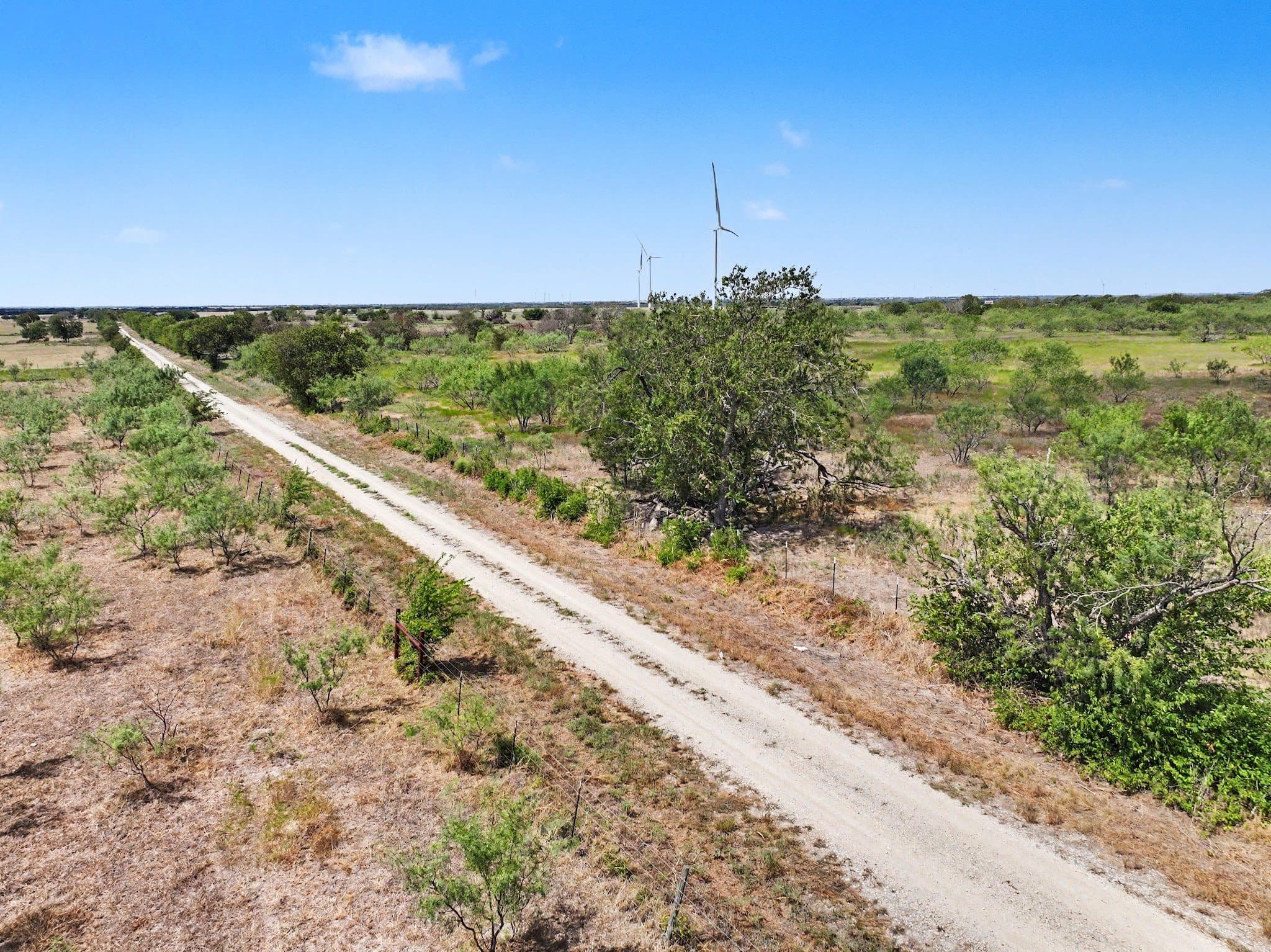 194 LCR 614, Groesbeck, TX 76642 — photo 19