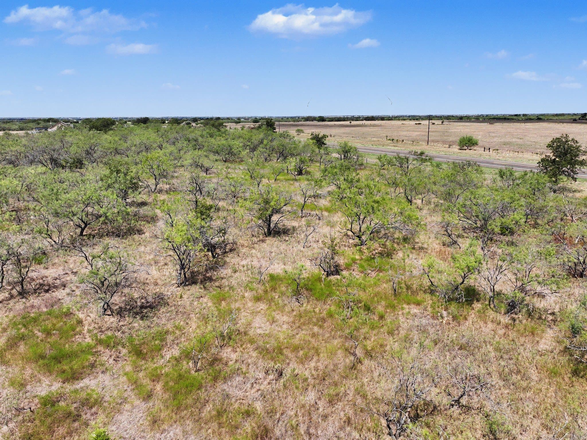 194 LCR 614, Groesbeck, TX 76642 — photo 24