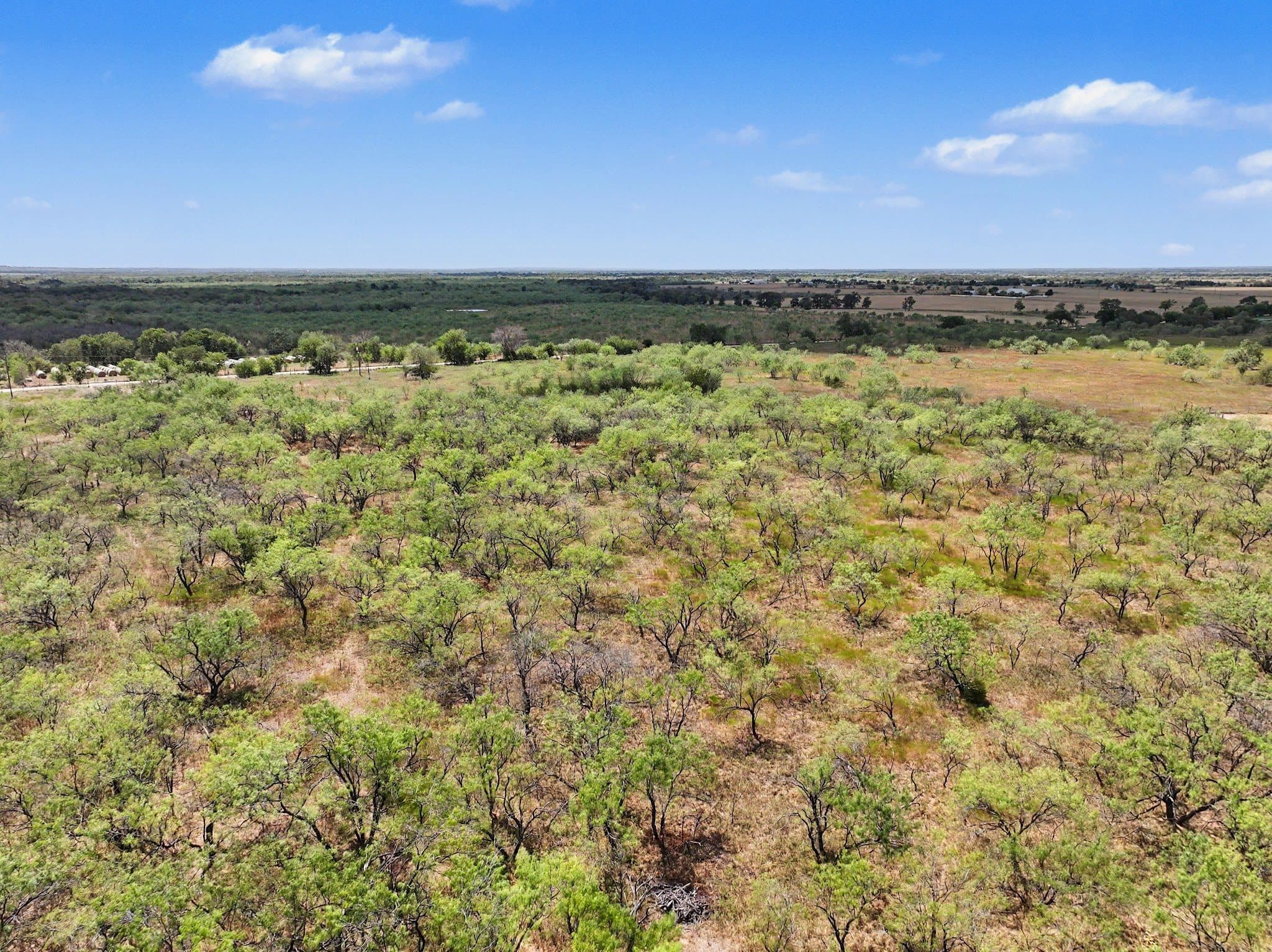194 LCR 614, Groesbeck, TX 76642 — photo 27