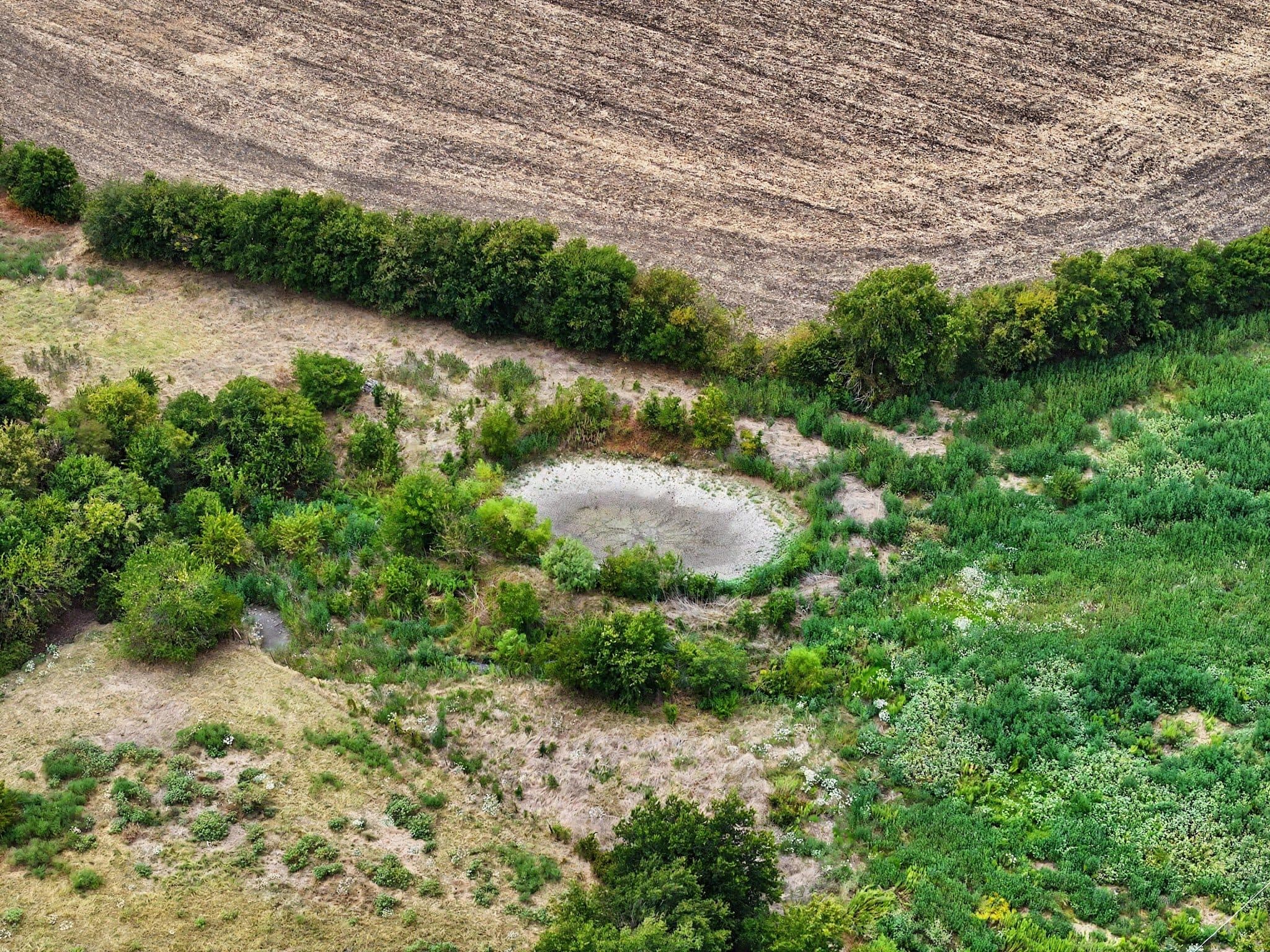 272 HCR 3106, Abbott, TX 76621 — photo 9