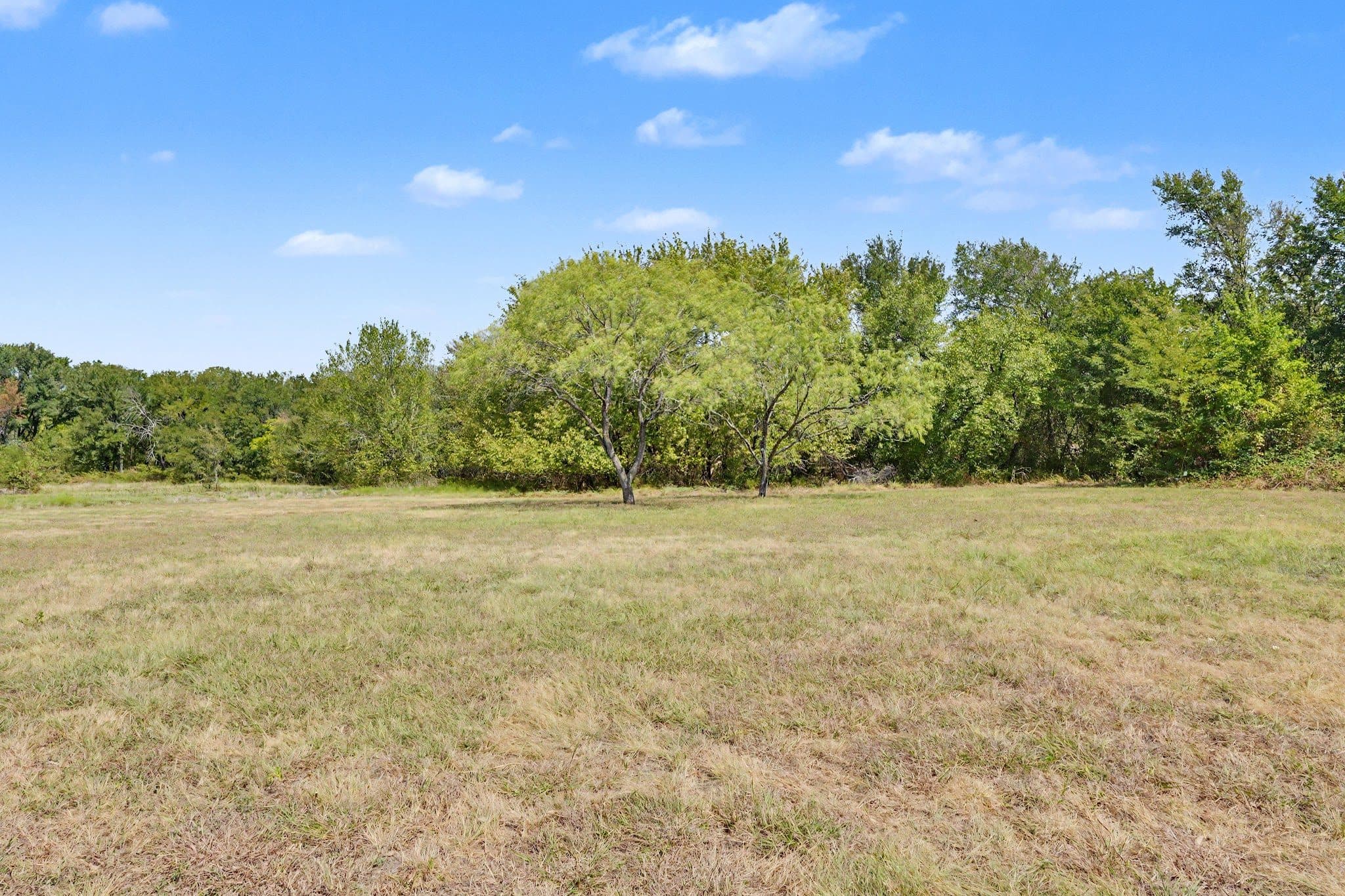6927 State Highway 22, Bynum, TX 76631 — photo 16