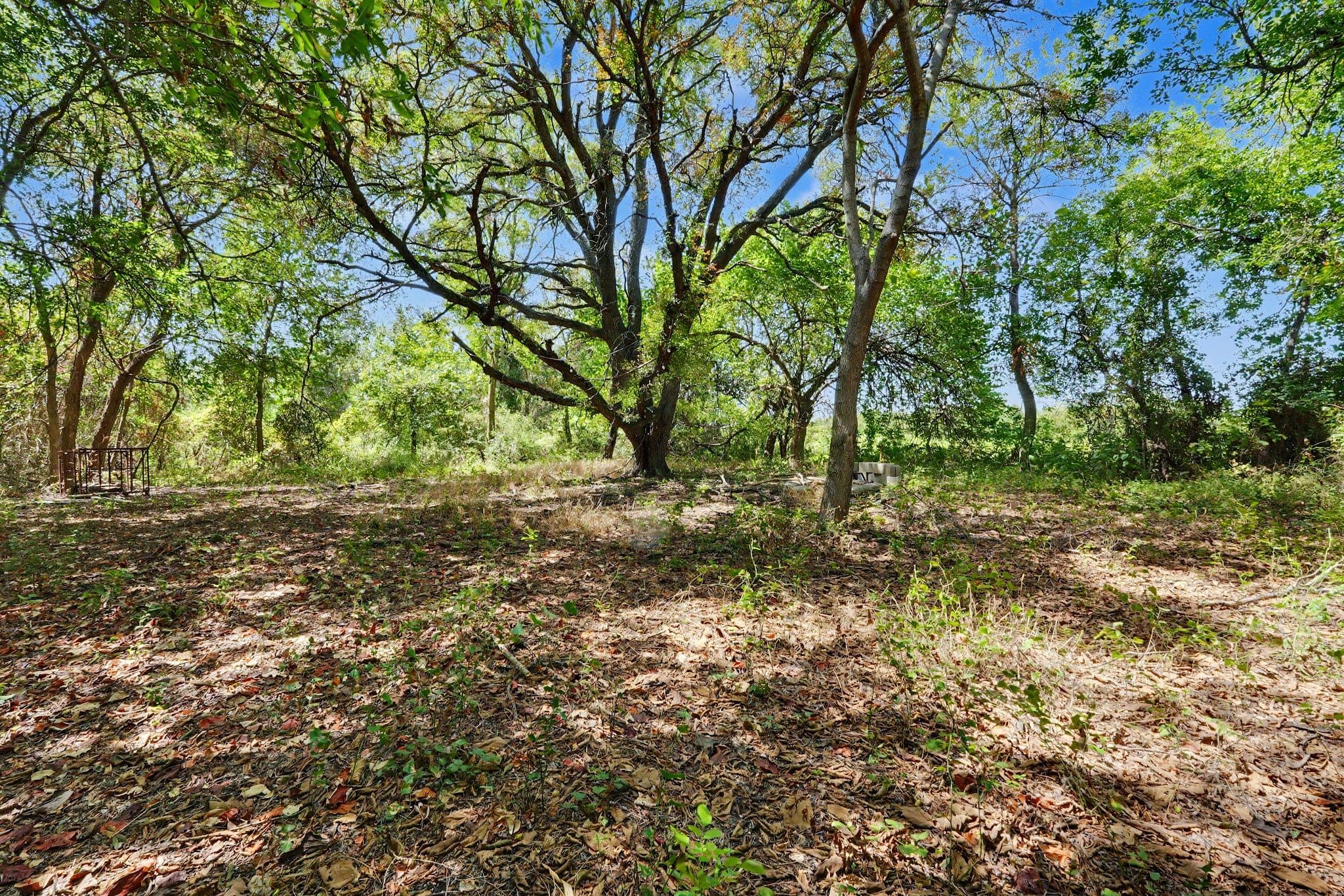 6927 State Highway 22, Bynum, TX 76631 — photo 19