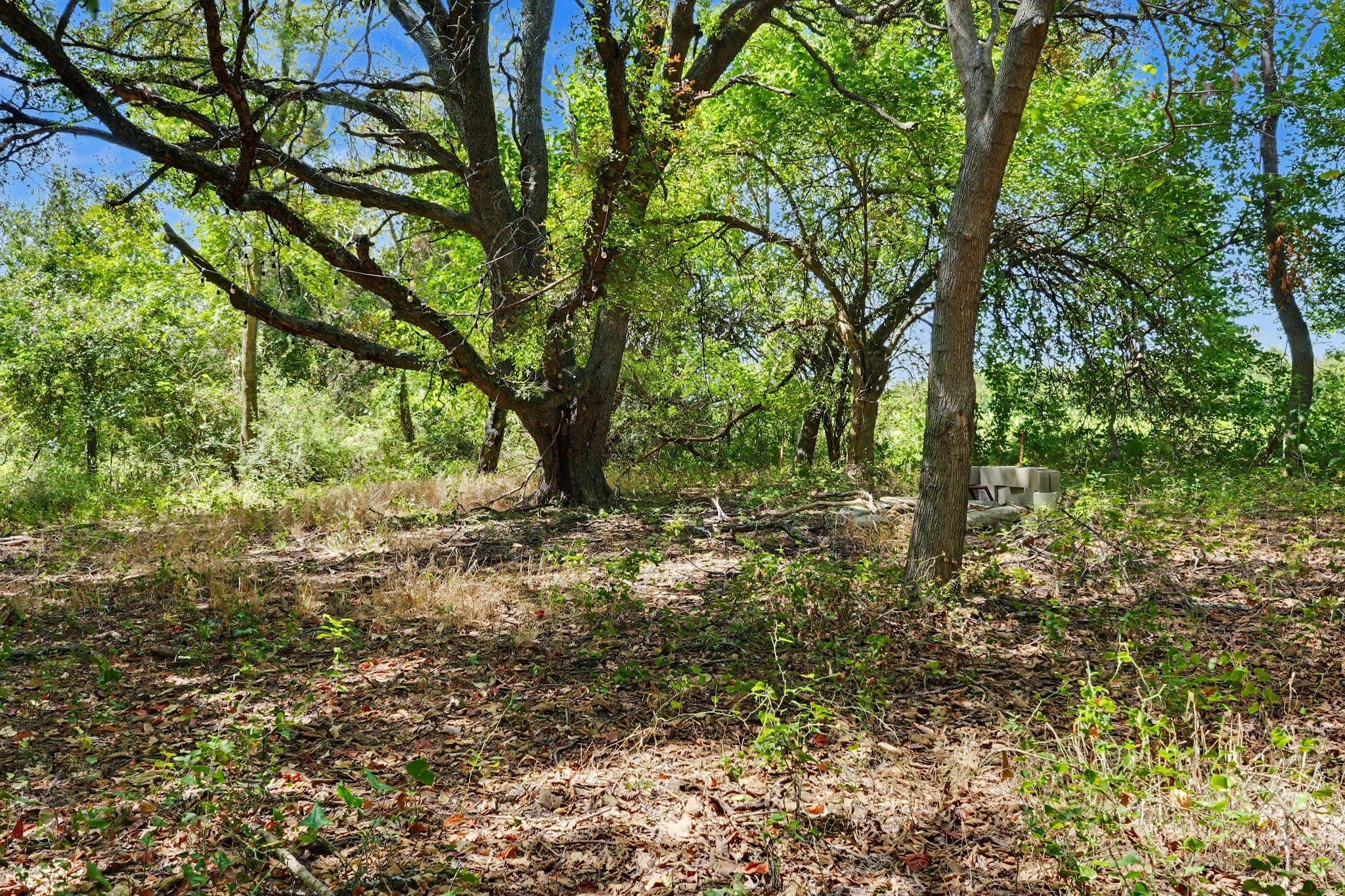 6927 State Highway 22, Bynum, TX 76631 — photo 20